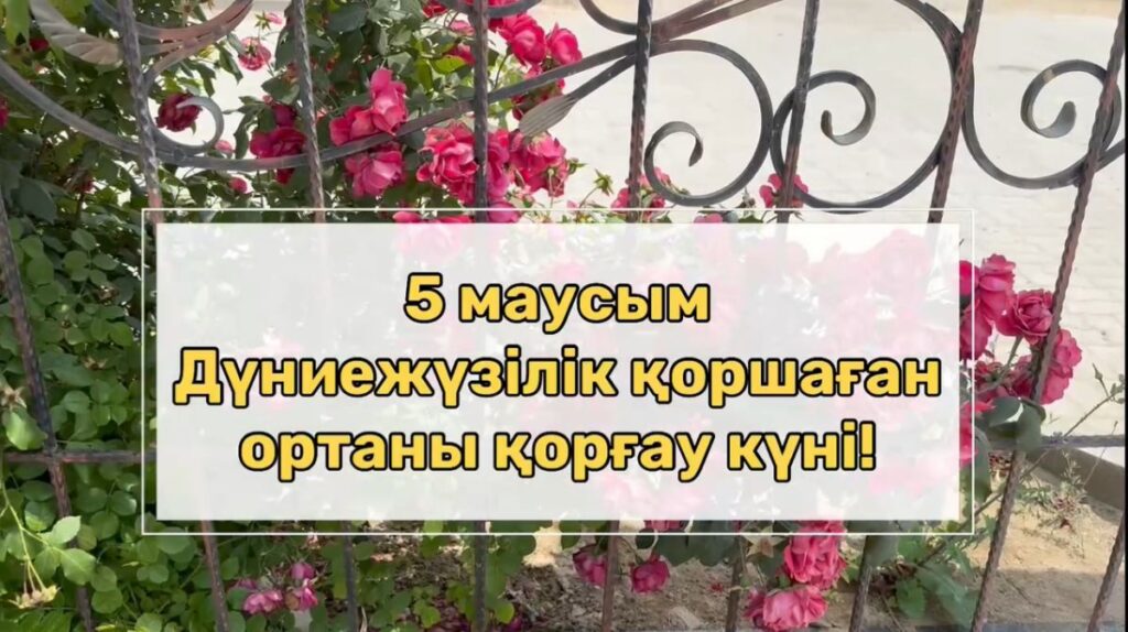5 июня – Всемирный день окружающей среды🌱